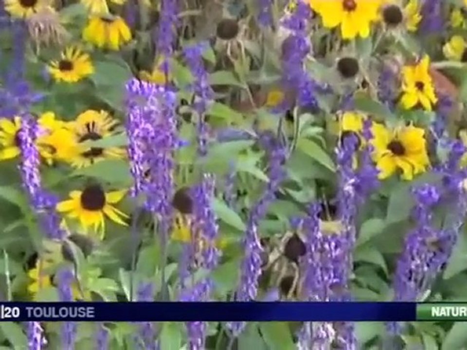 Reportage FR3 Toulouse 15-09-2009