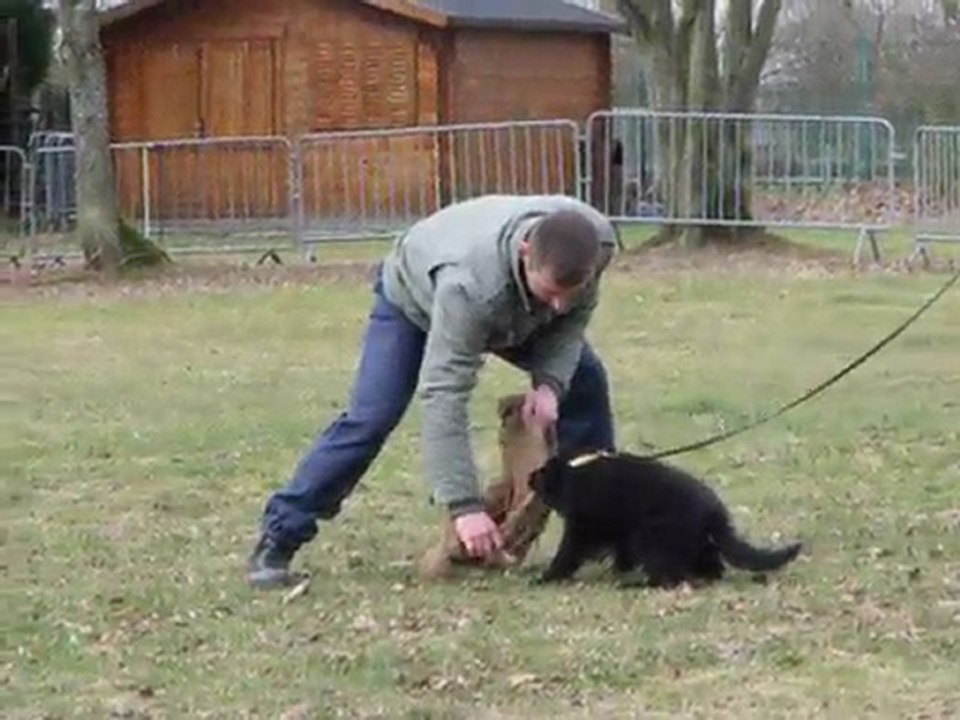 " B " suite 5 mars 010