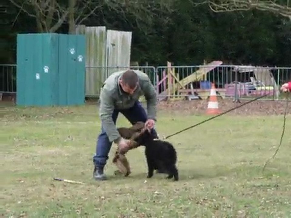 " C " suite 5 mars 010