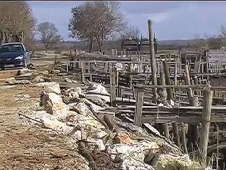 TEMPETE A PORT CHARRON (LES CALLONGES)