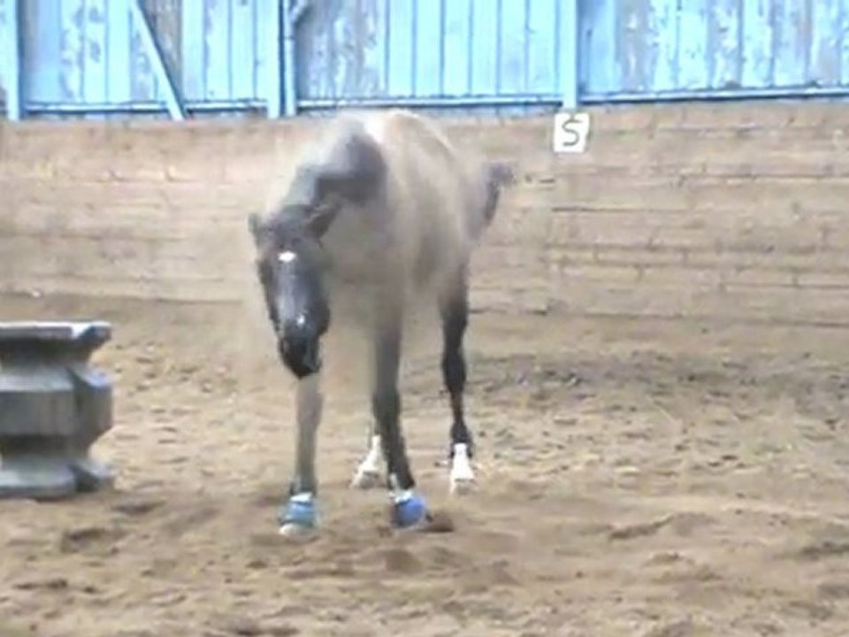 1er galop!