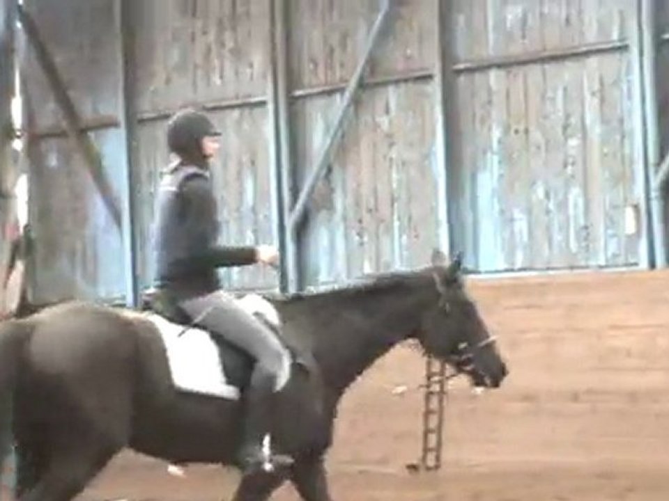 1er galop