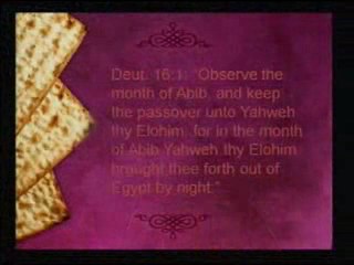 Preparing Our Hearts for Passover