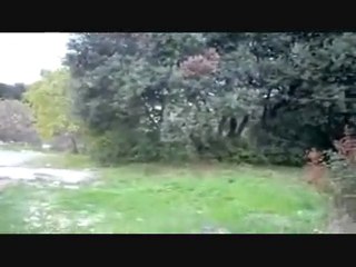 Castelnau-le-Lez - Sauvons le Petit Bois de chênes du Devois