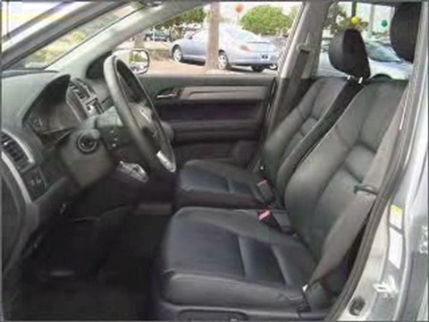 Used 2008 Honda CR-V Pinellas Park FL - by ...