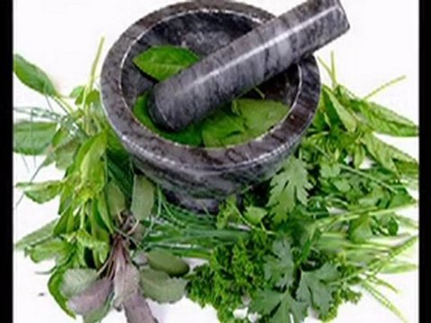 Herbs For Infertility