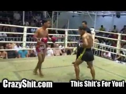 Muay Thai Kick Knock-out