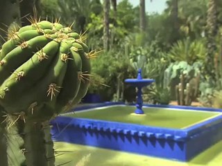 Jardin Majorelle  Marrakech