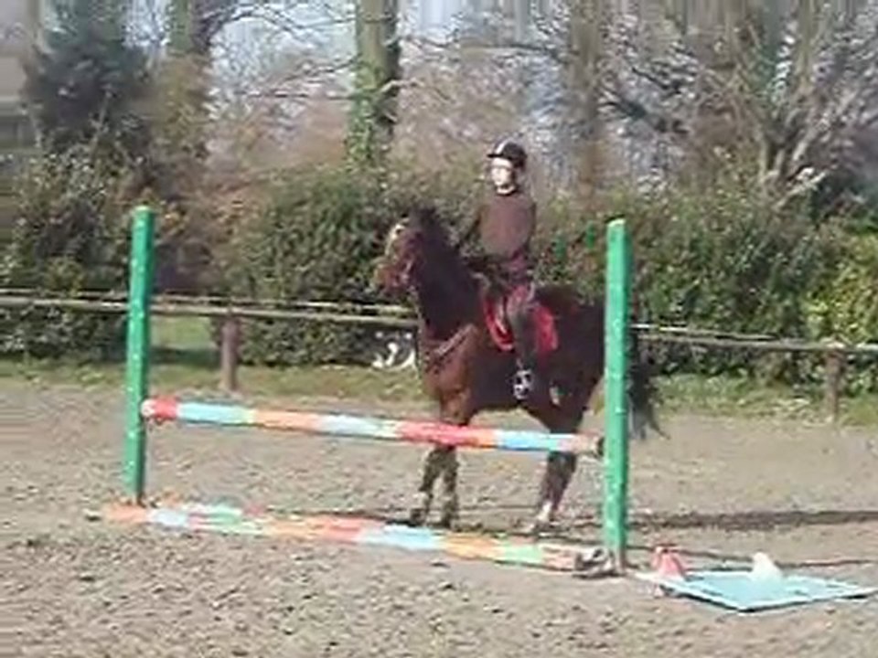 Vertical + Oxer