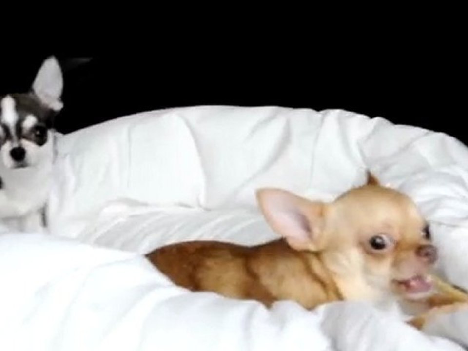 Enjy & Myo 27 Fev 2010