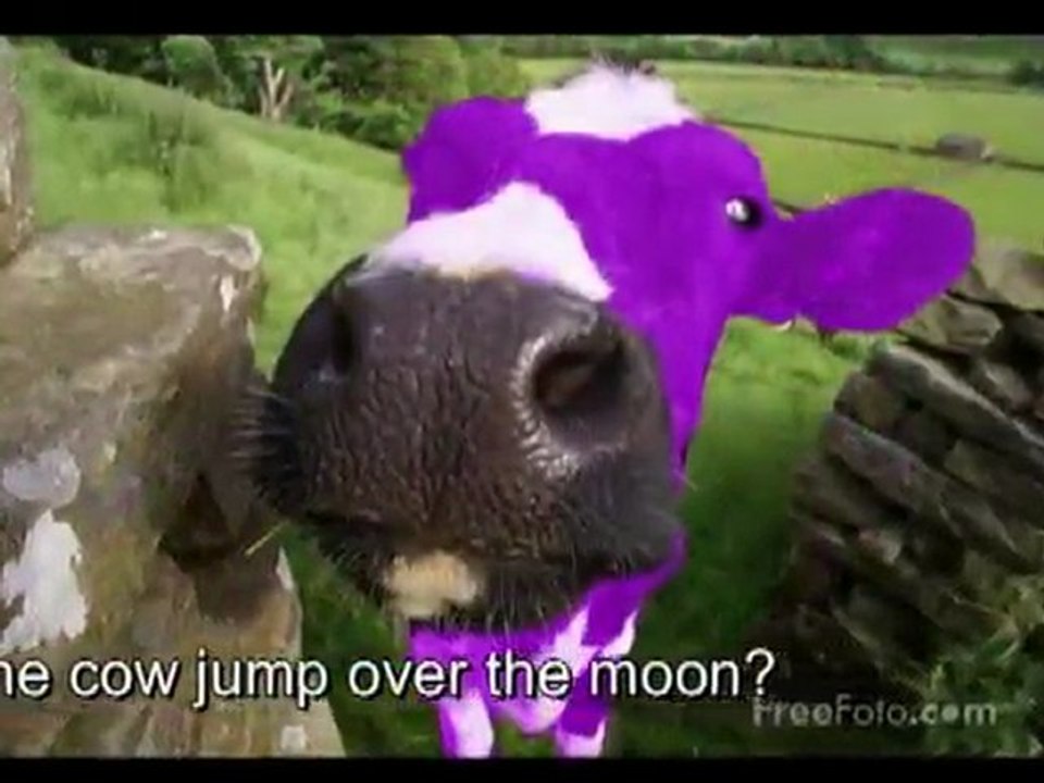 hey diddle diddle purple cow jumped over the moon