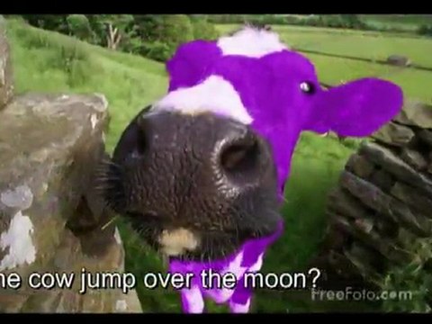 hey diddle diddle purple cow jumped over the moon