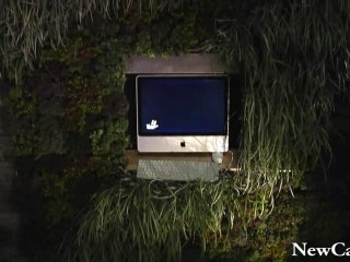 NewCa.com: Green Apple Landscaping - 2010 National Home Show