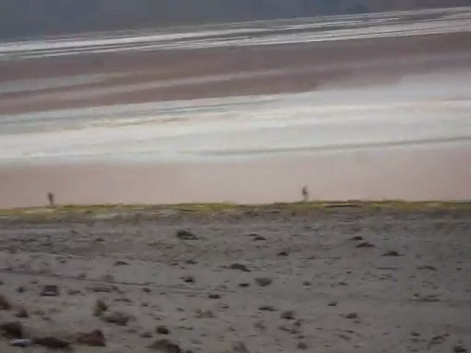 [Bolivie] Laguna Colorada