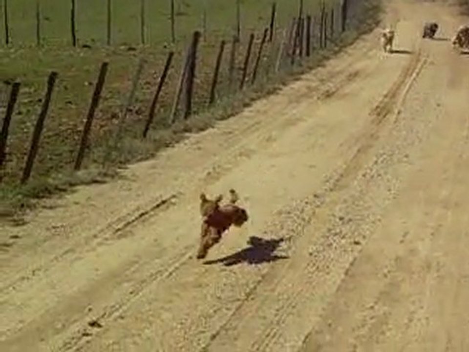 BALLADE DES PREMIERS JOURS DE MARS 2010