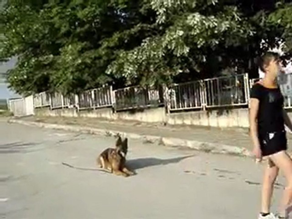 Mei i xrisi