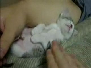 Gattino che si addormenta!