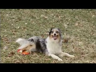 Frisbee - Nouvelle méthode