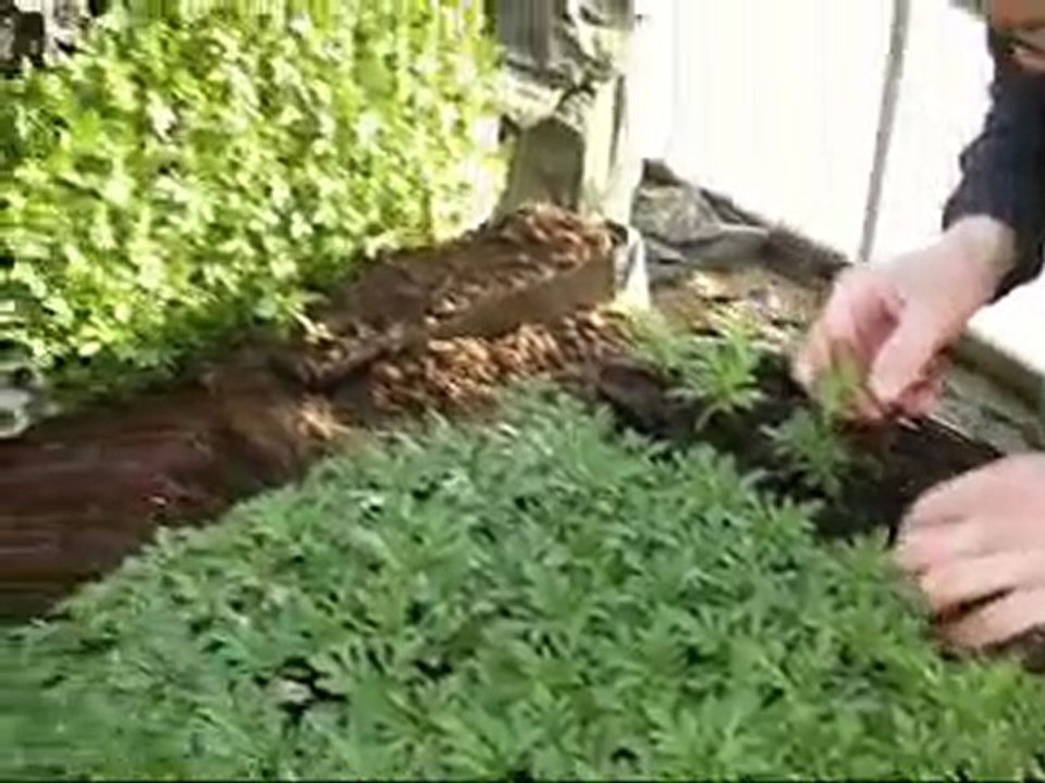 Reportage PORTE OUVERTE Pétré 13/03/2010 Version Définitive