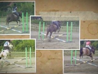Vidéo du GALOP DES ALLINGES