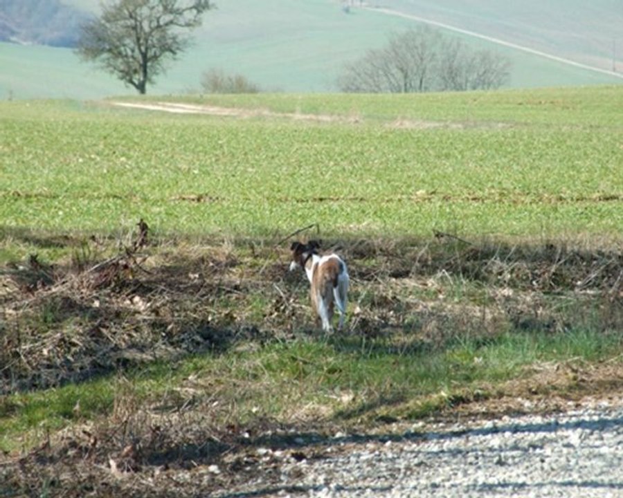 A la campagne