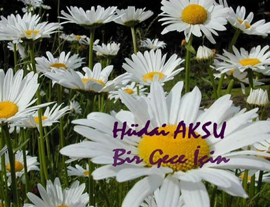 Hüdai Aksu Bir Gece İçin AS