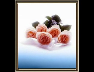 Yücel Arzen İllede Yar AS