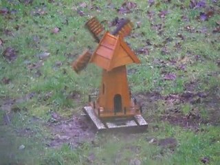 ça souffle dans les Ardennes