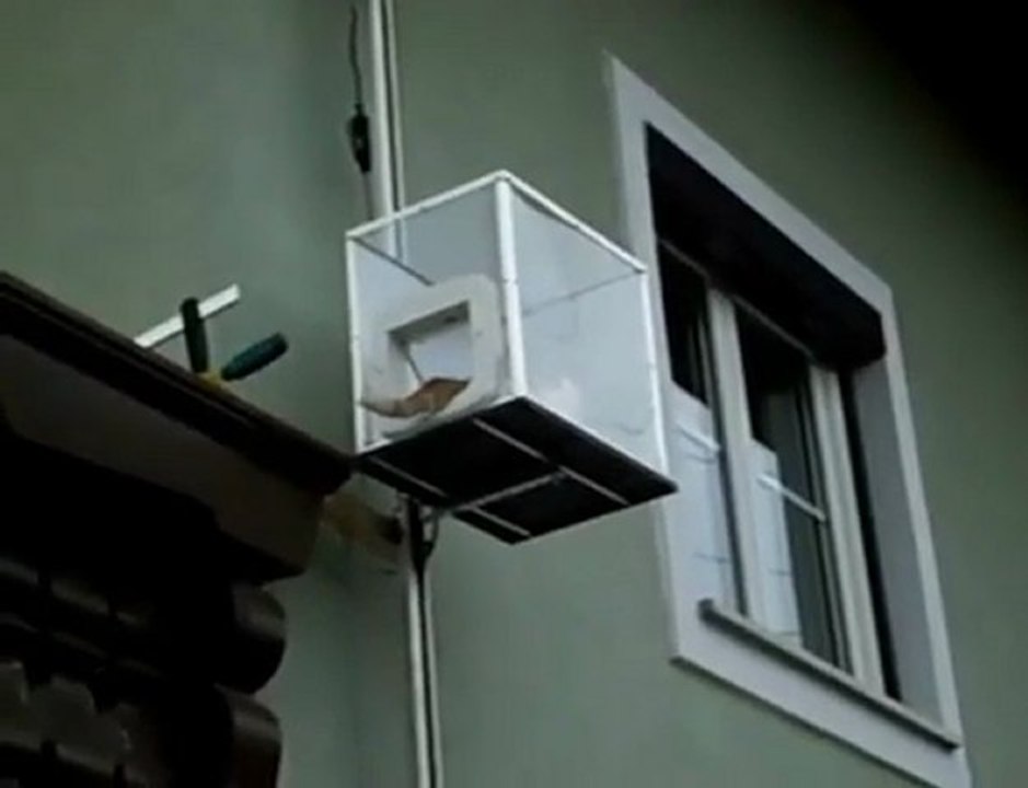 ascenseur pour chat ???