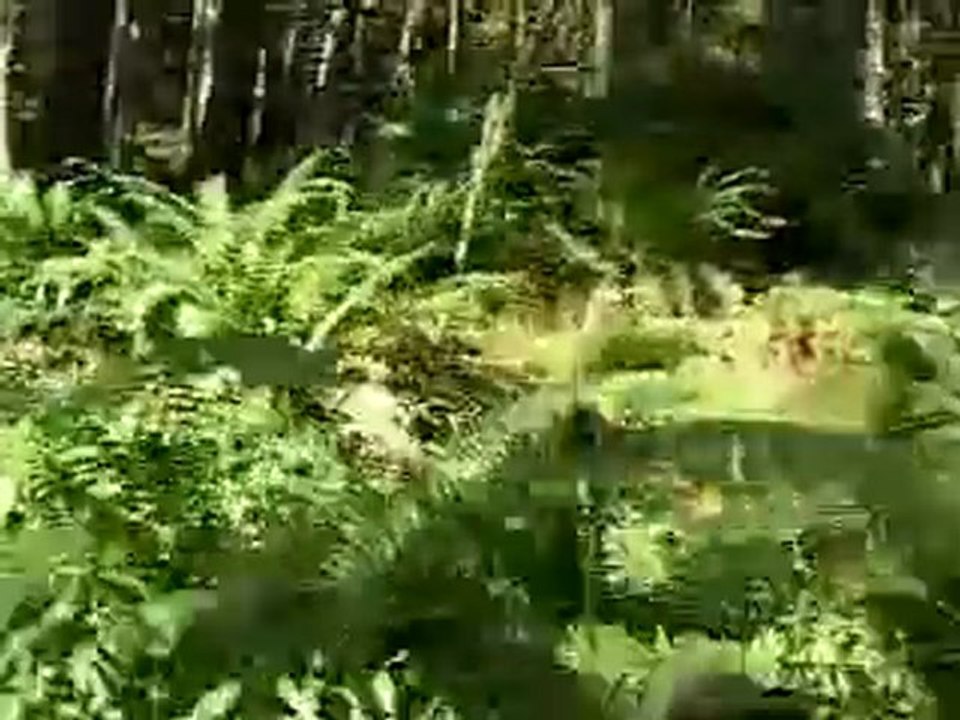 Cable cam extreme downhill mountain bike