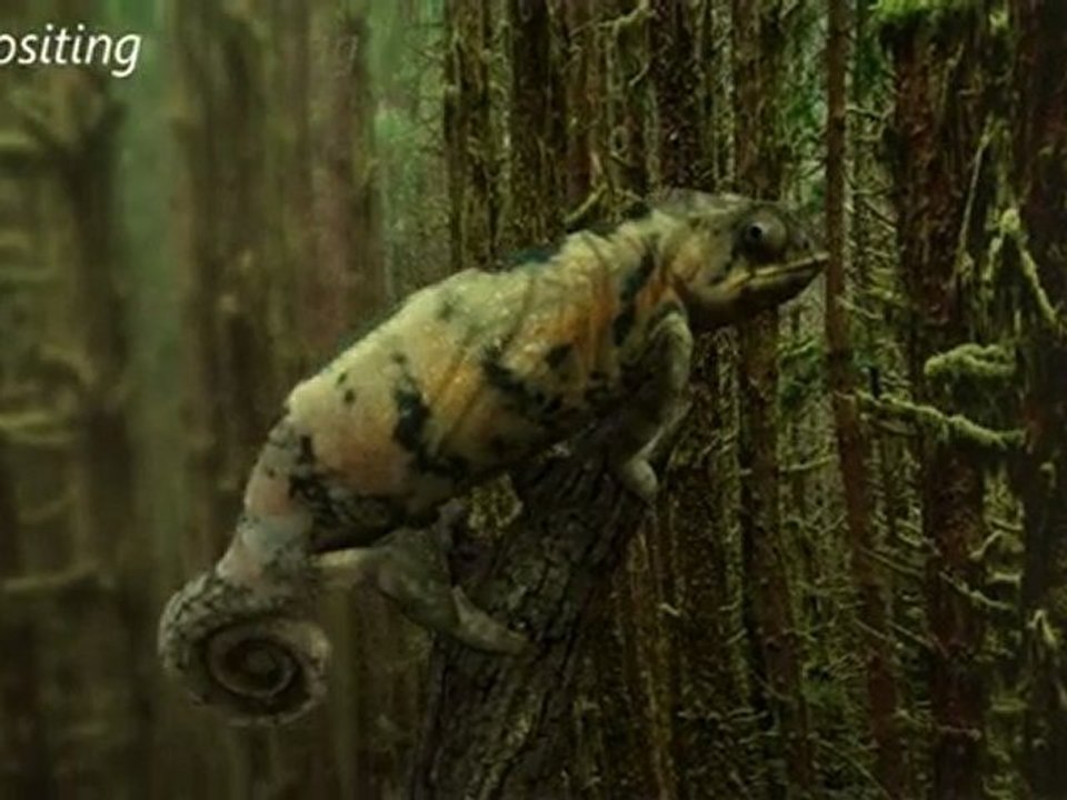 Michael BELLAMY DemoReel 2010