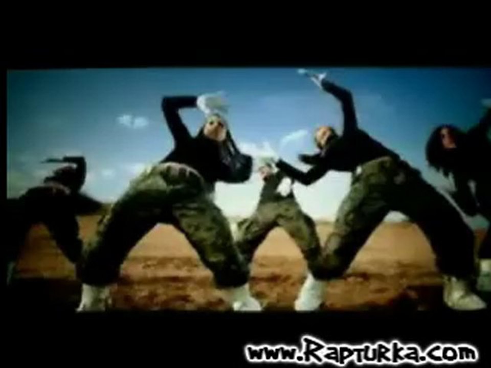 pitbull - hotel room