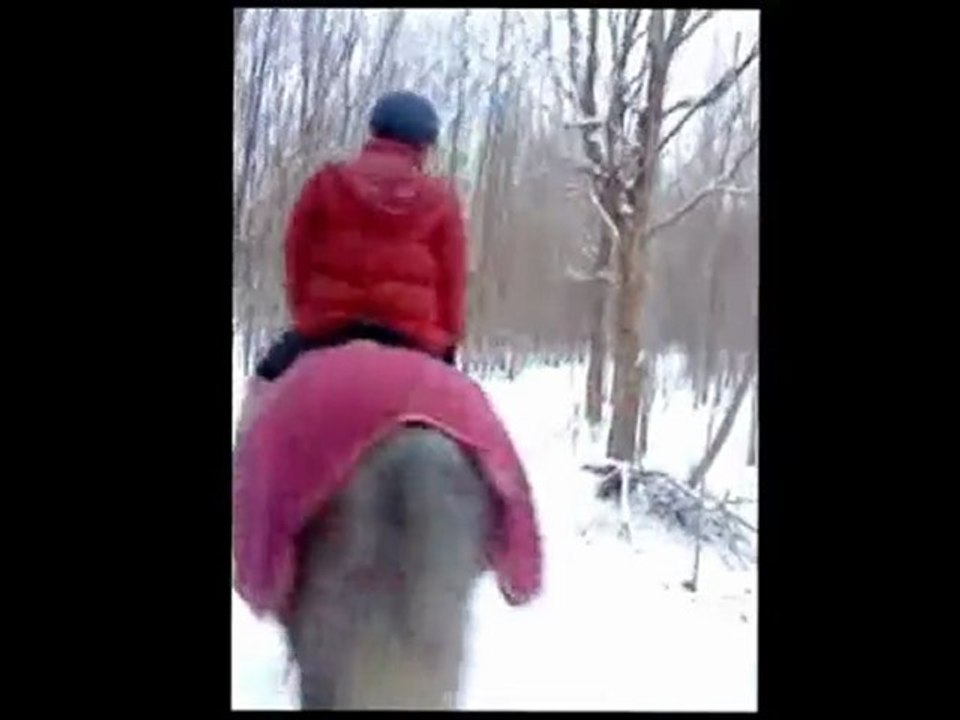 Ballade dans la neige au haras 2