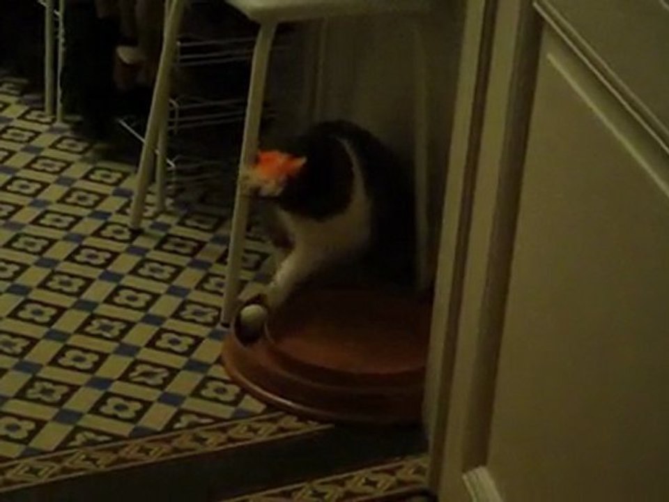 Noisette en pleine activité