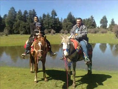 Cèdre Gouraud Azrou , Ifrane (13-14 mars 2010)