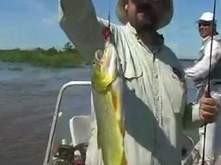 Programa 456 - Información y detalles