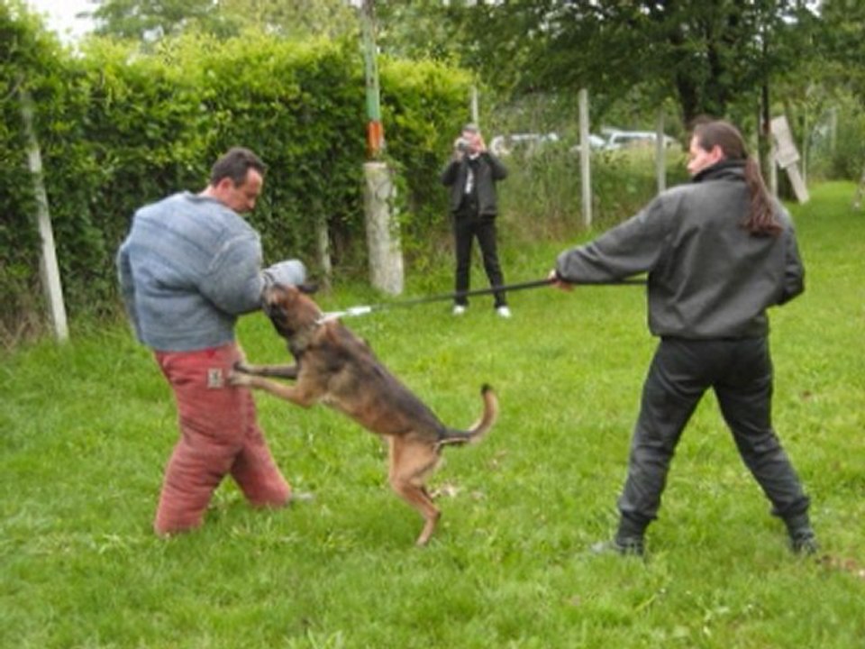 Multi Champion Ray-Ban des Plaines de Thiérache