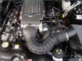 Used 2008 Ford Mustang Bristol TN - by EveryCarListed.com