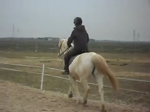 LES PONEYS DE SOPHIE CAM' CROISILLON 13 03 2010 SDC10939