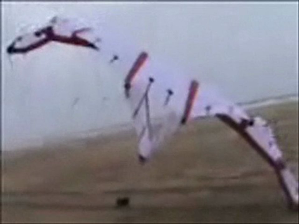 essai de la nouvelle CDKITE dans du vent faible  Aile auto-zénith ou auto-stable