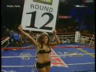 Vic Darchinyan vs. Rodrigo Guerrero Round 12