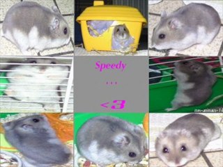 montage vidéo so-elevage-5