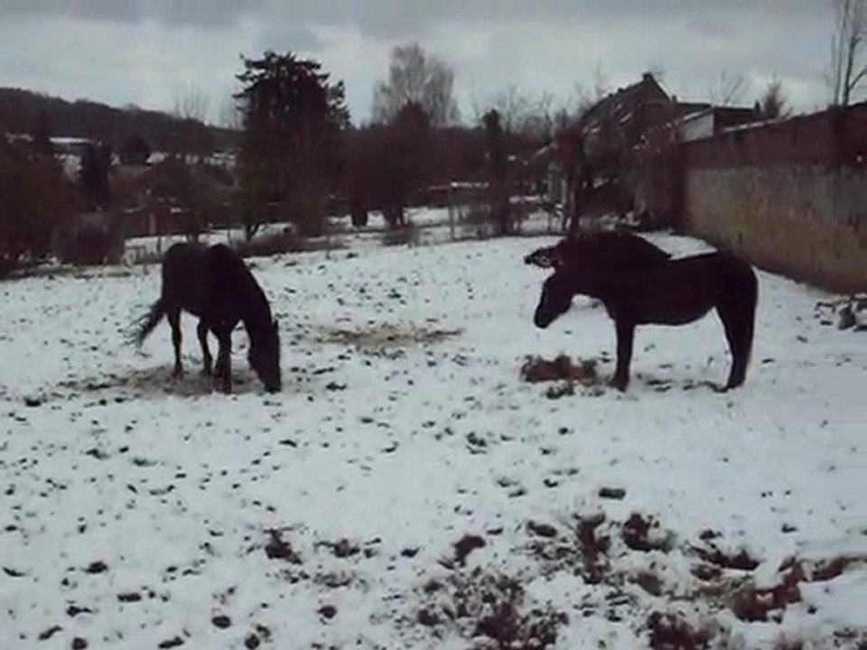 Mao et Harun ds la neige