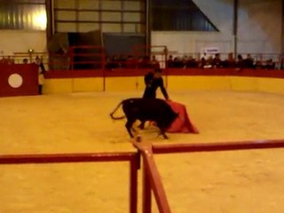 Novillada de Palavas le 6 Mars 2010