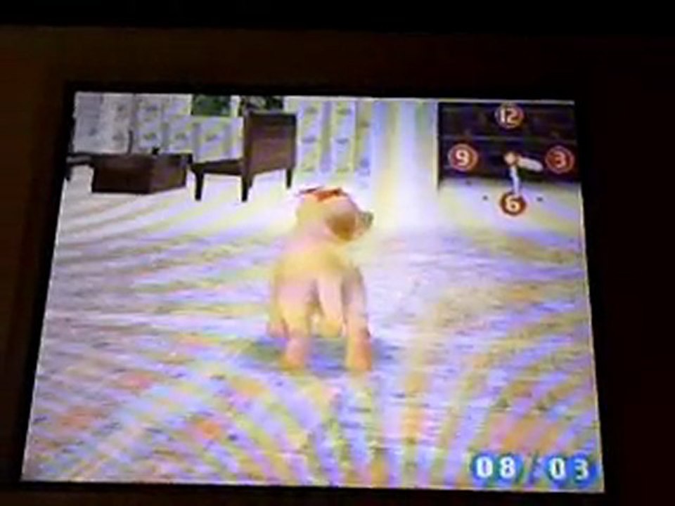 Amy en vidéo