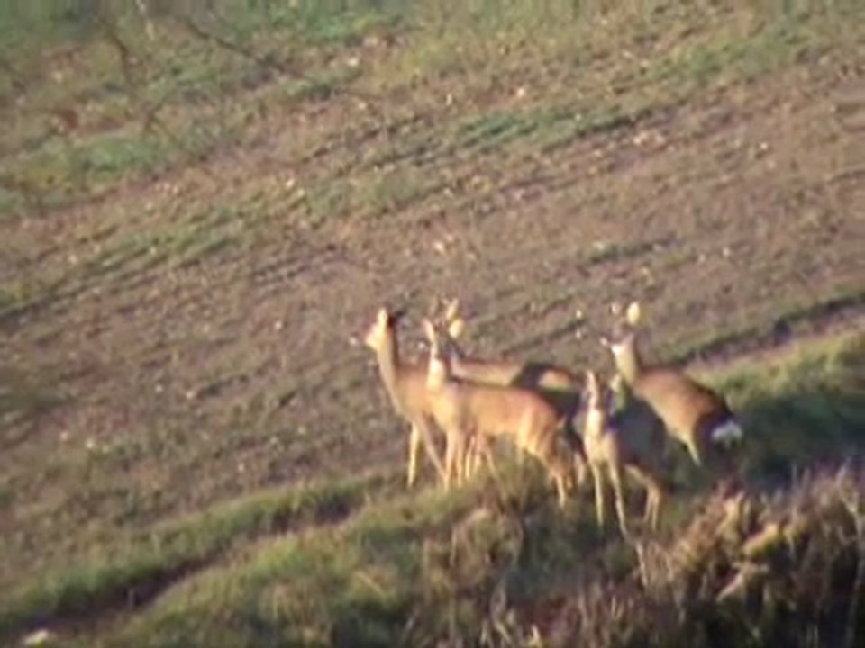 20100227083742