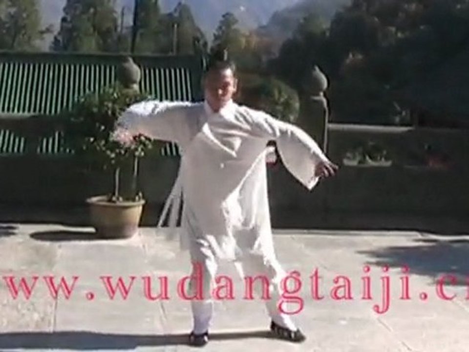 Wudang Xuan Wu Quan - Maître Chen Shiyu