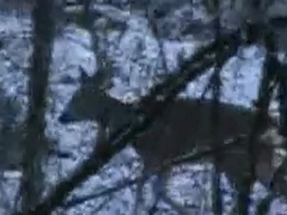 20100107093124