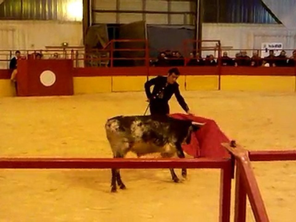 Avant féria de Palavas le 6 Mars 2010