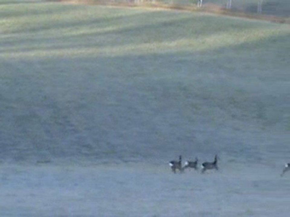 20100227083223